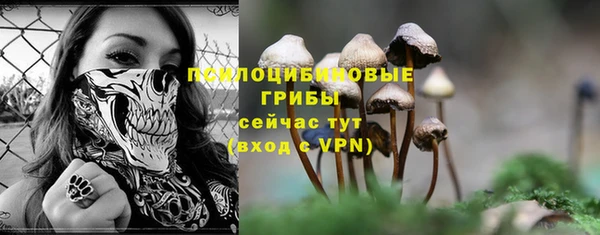 apvp Зеленодольск